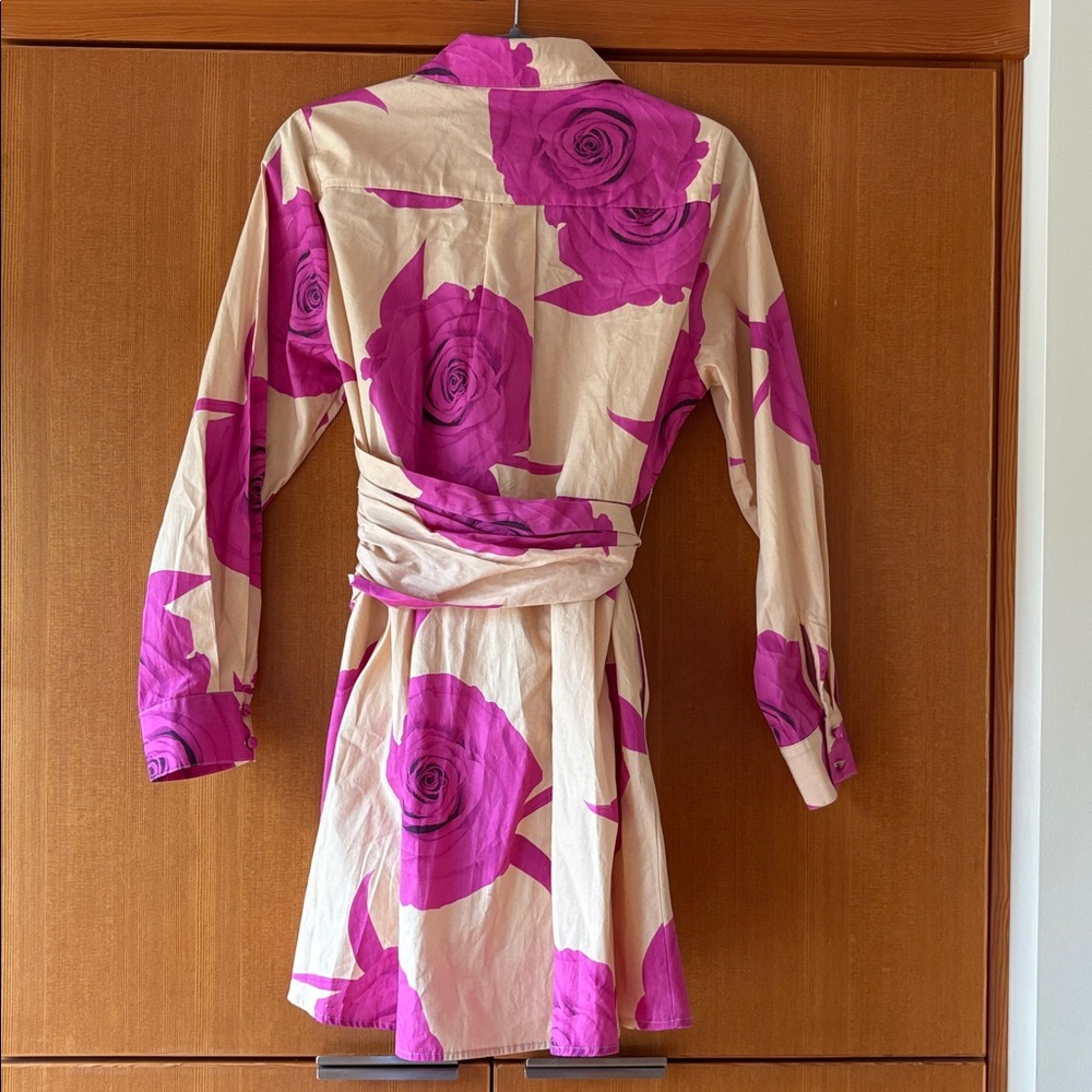 Hutch Pink and Tan Long Sleeve Dress - Picture 6 of 6
